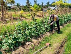 Bhabinkamtibmas Polsek Katingan Kuala Rutin Cek Lokasi Pemanfaatan Lahan Pekarangan Warga Desa Binaannya