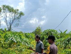 Polsek Katingan Kuala cek lokasi pemanfaatan pekarangan rumah warga