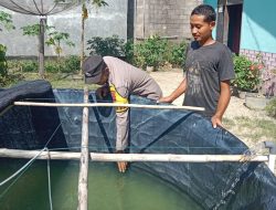 Dukung Ketahanan Pangan, Bhabinkamtibmas Cek Budidaya Ikan Nila