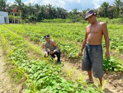 Bhabinkamtibmas Polsek Sematu Jaya Sambang ke masyarakat Terkait Ketahanan Pangan
