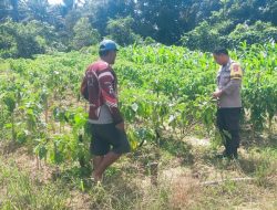 Dukung Ketahanan Pangan, Bhabinkamtibmas Polsek Bulik Silaturahmi ke masyarakat terkait Program Asta Cita Presiden RI