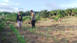 Dukung Ketahanan Pangan, Bhabinkamtibmas Polsek Sematu Jaya Silaturahmi ke masyarakat terkait Program Asta Cita Presiden RI