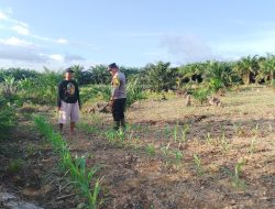 Dukung Ketahanan Pangan, Bhabinkamtibmas Polsek Sematu Jaya Silaturahmi ke masyarakat terkait Program Asta Cita Presiden RI