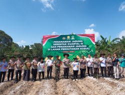 Polres Lamandau Laksanakan Penanaman Jagung Serentak di Lahan Perhutanan Sosial Dalam Rangka Mendukung Swasembada Pangan Tahun 2025