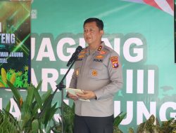 Dukung Ketahanan Pangan Nasional, Kapolda Kalteng Tanam Jagung Kuartal III di Pulang Pisau