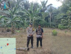 Bhabinkamtibmas Cek Lokasi Lahan Penanaman Jagung dalam program ketahanan pangan