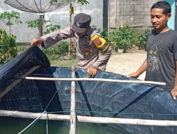 Dukung Ketahanan Pangan, Bhabinkamtibmas Cek Budidaya Ikan Lele